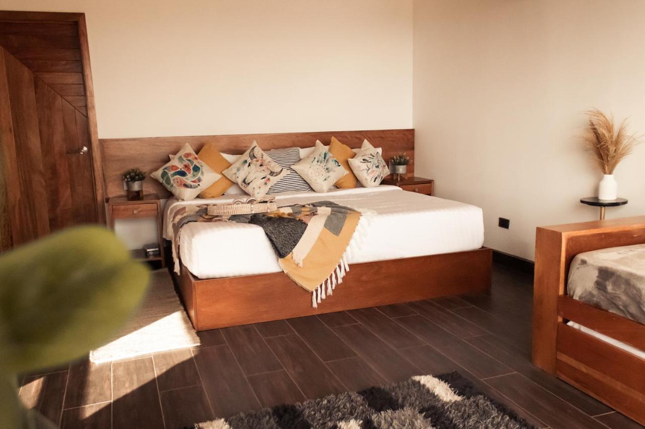 فندق Oasis 444 San Marcos  المظهر الخارجي الصورة