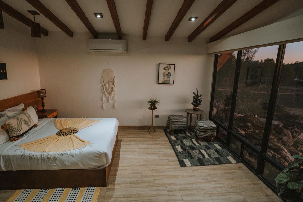 فندق Oasis 444 San Marcos  المظهر الخارجي الصورة