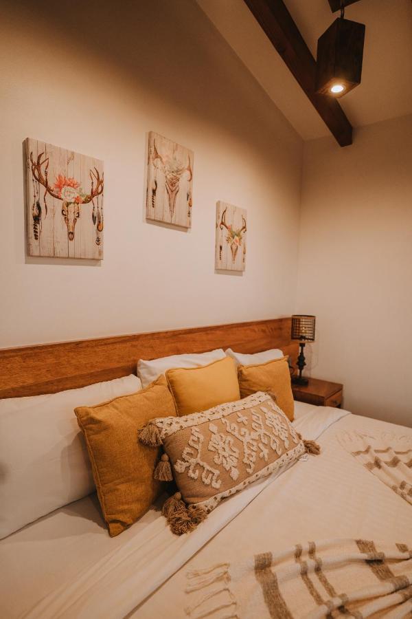 فندق Oasis 444 San Marcos  المظهر الخارجي الصورة